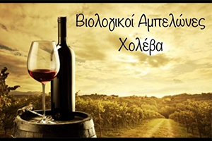Βιολογικοί αμπελώνες Χολέβα